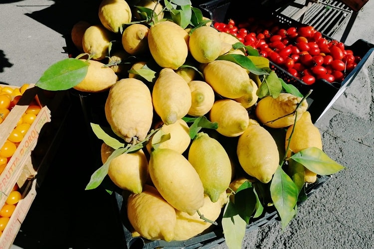 【ソレント産レモン】爽やかな香りとアロマがたまらない南イタリアの最高級レモン -Limone di Sorrento-