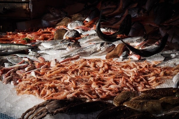 魚市場
