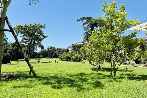 庭園