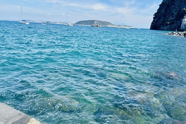 海